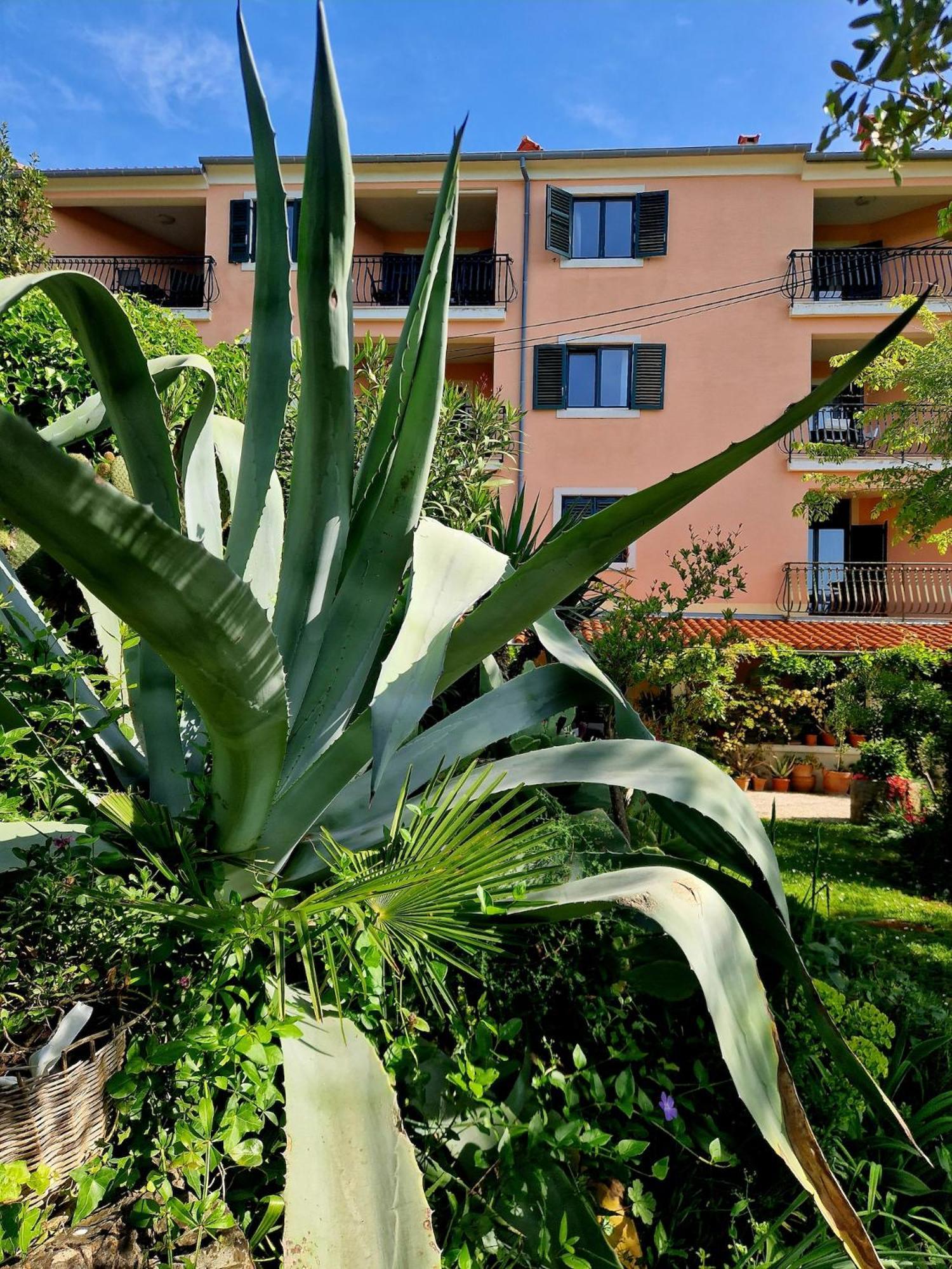Villa Mareonda Rovinj Exterior foto